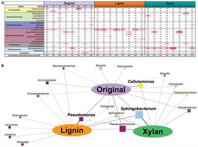 Substrate Shift Reveals Roles for Members of Bacterial Consortia in Degradation of Plant Cell Wall Polymers